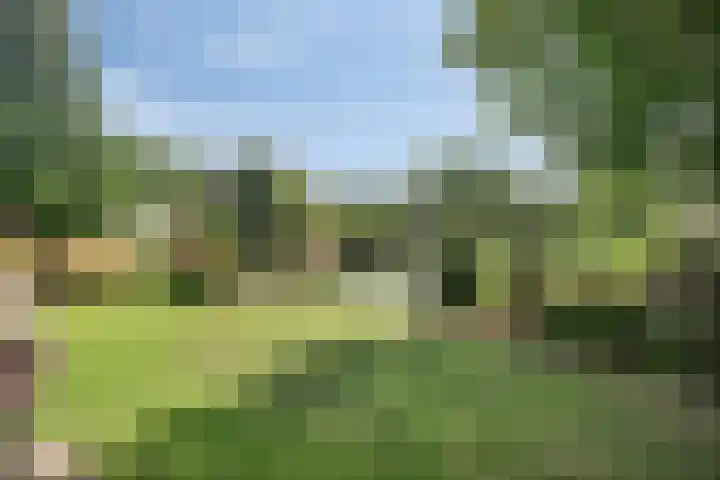 Clinckenburgh 27 Oegstgeest thumbnail 31