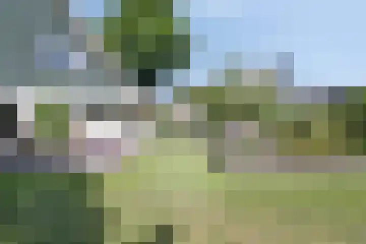 Clinckenburgh 27 Oegstgeest thumbnail 32