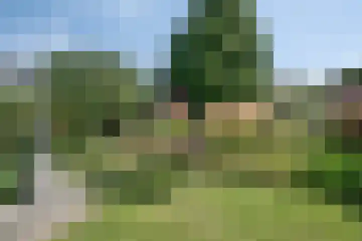 Clinckenburgh 27 Oegstgeest thumbnail 38