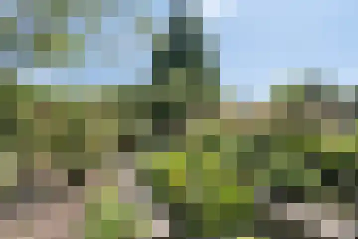 Clinckenburgh 27 Oegstgeest thumbnail 39