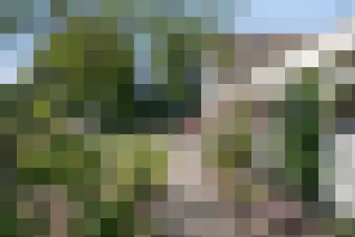 Clinckenburgh 27 Oegstgeest thumbnail 40