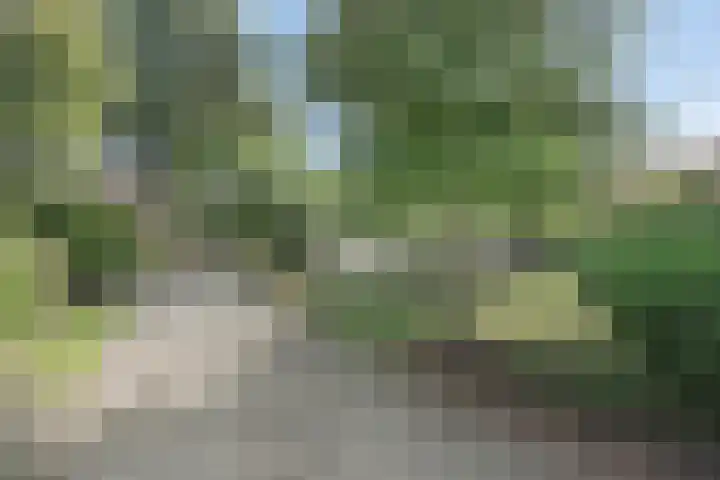 Clinckenburgh 27 Oegstgeest thumbnail 5