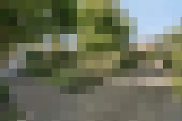 Clinckenburgh 27 Oegstgeest thumbnail 6