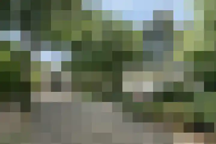 Clinckenburgh 27 Oegstgeest thumbnail 9