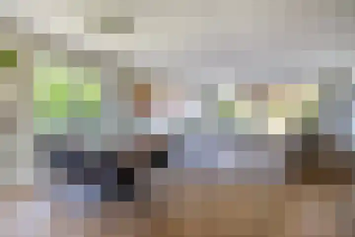 Clingeboslaan 15 Vleuten thumbnail 10