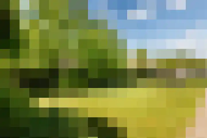 Clingeboslaan 15 Vleuten thumbnail 15