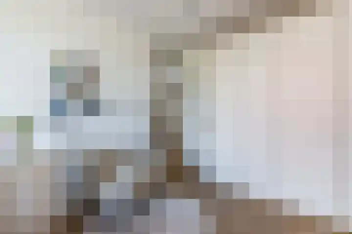 Clingeboslaan 15 Vleuten thumbnail 20