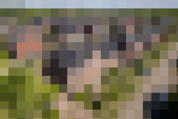 Clingeboslaan 15 Vleuten thumbnail 30