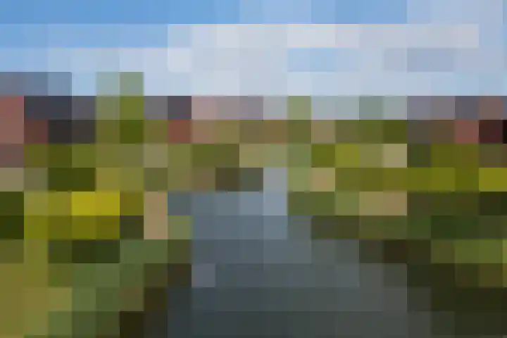 Clingeboslaan 15 Vleuten thumbnail 31