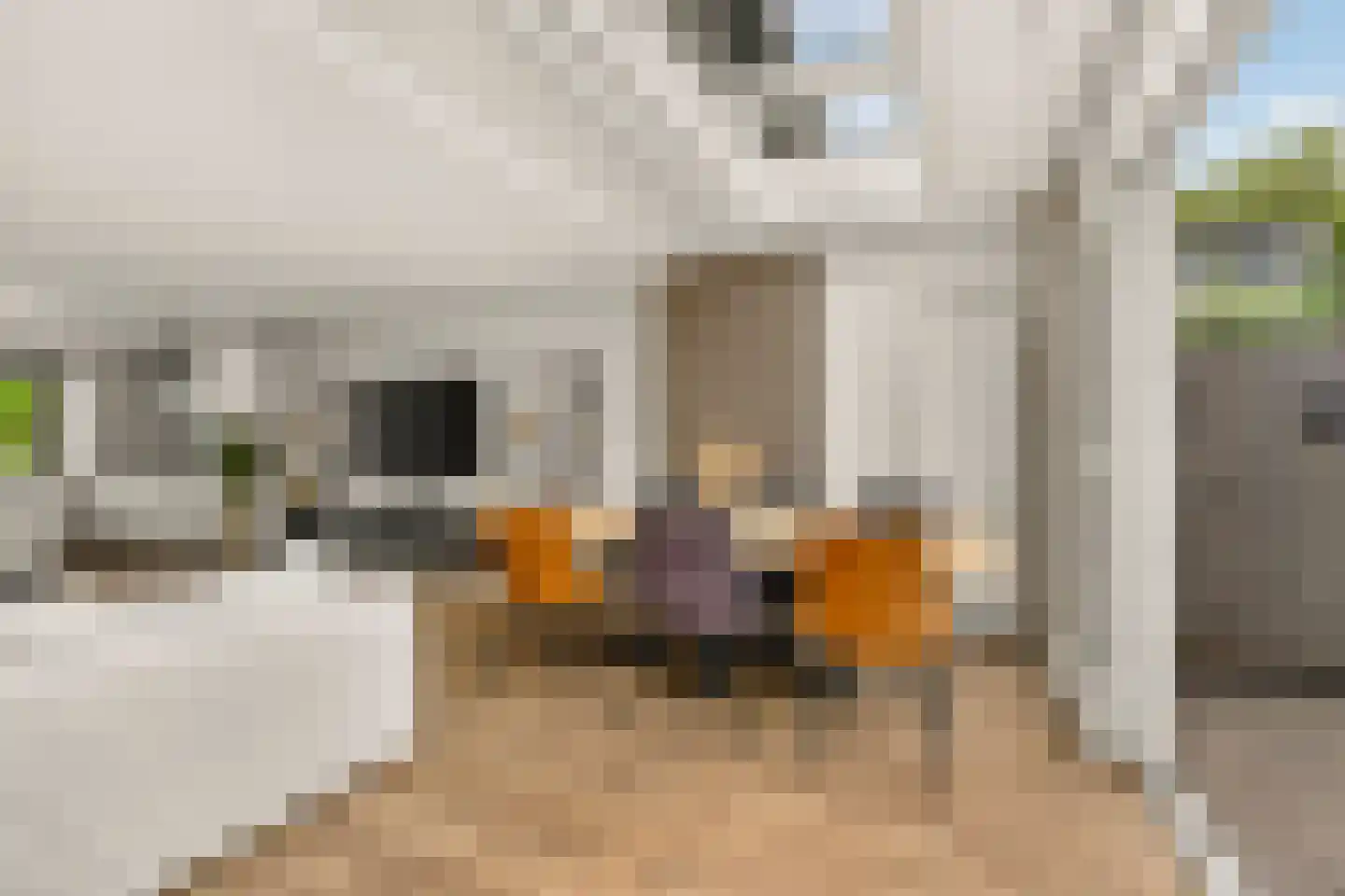 Clingenburg 13 Hoofddorp thumbnail 11