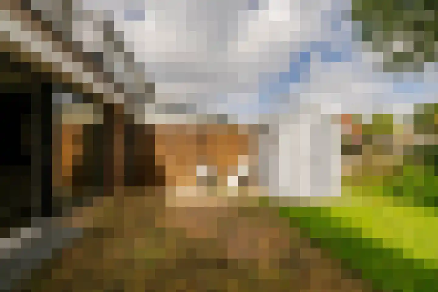 Clingenburg 39 Hoofddorp thumbnail 23