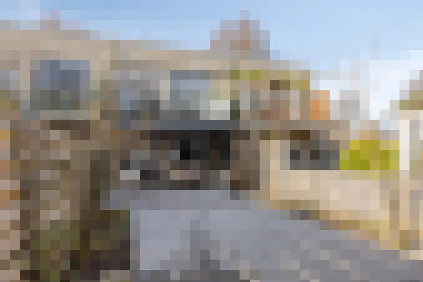 Clingendaellaan 161 Almere thumbnail 14