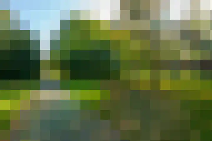 Clingendaellaan 163 Almere thumbnail 31