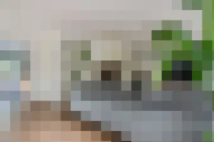 Clingendaelsingel 3 Bleiswijk thumbnail 14