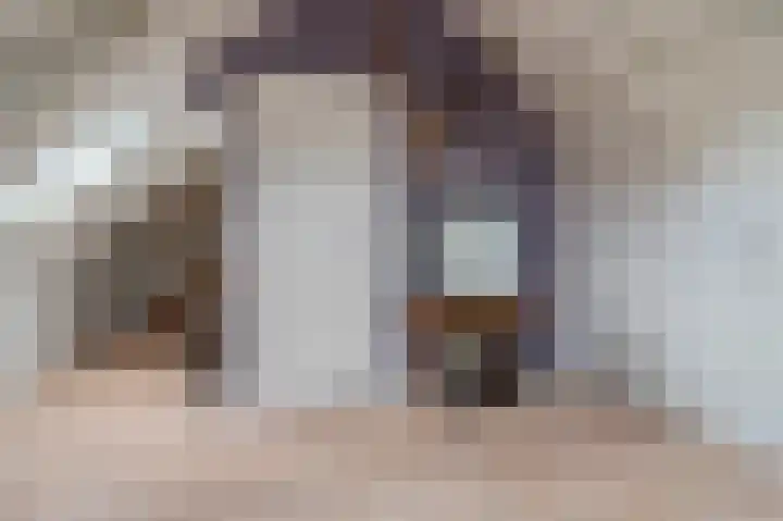 Clingendaelsingel 3 Bleiswijk thumbnail 34