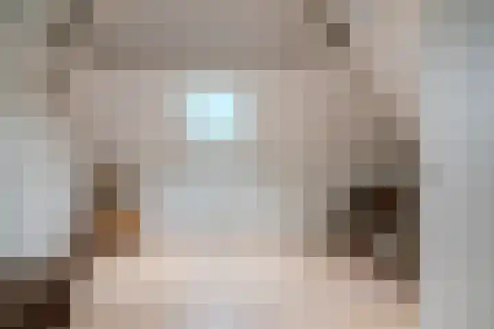 Clingendaelsingel 3 Bleiswijk thumbnail 35