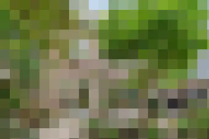 Clingendaelsingel 3 Bleiswijk thumbnail 38