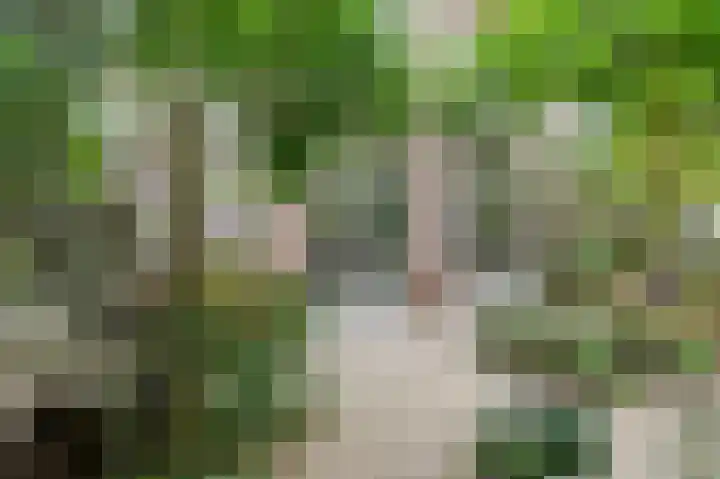 Clingendaelsingel 3 Bleiswijk thumbnail 40