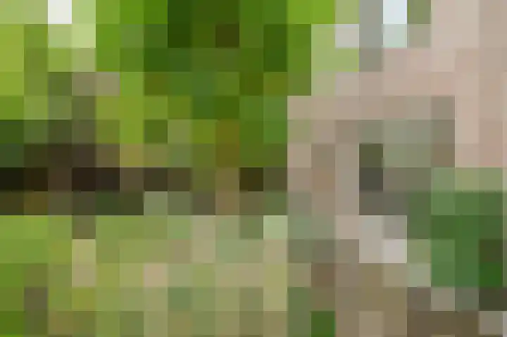 Clingendaelsingel 3 Bleiswijk thumbnail 41