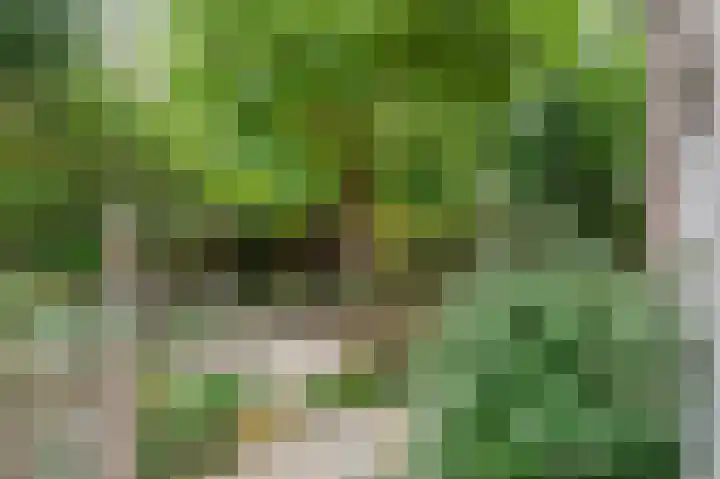 Clingendaelsingel 3 Bleiswijk thumbnail 43