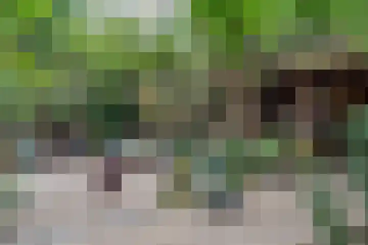 Clingendaelsingel 3 Bleiswijk thumbnail 46