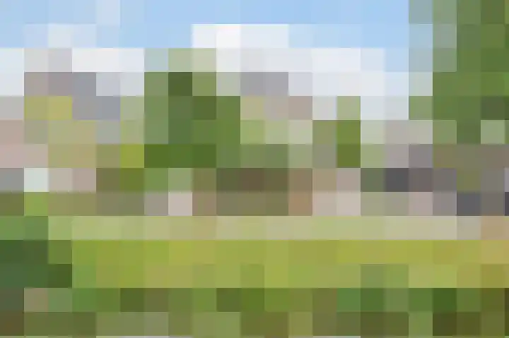 Clingendaelsingel 3 Bleiswijk thumbnail 5