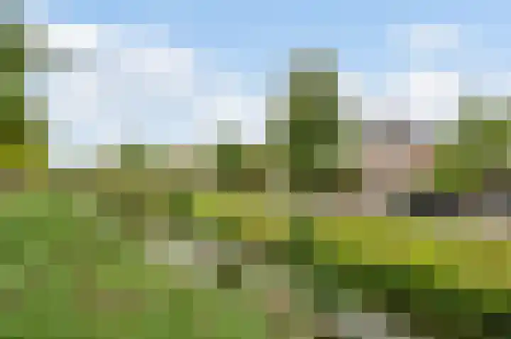 Clingendaelsingel 3 Bleiswijk thumbnail 6
