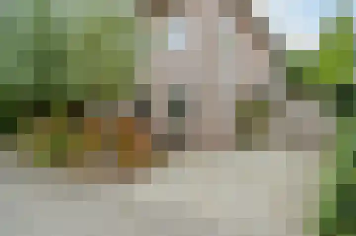 Clingendaelsingel 3 Bleiswijk thumbnail 9