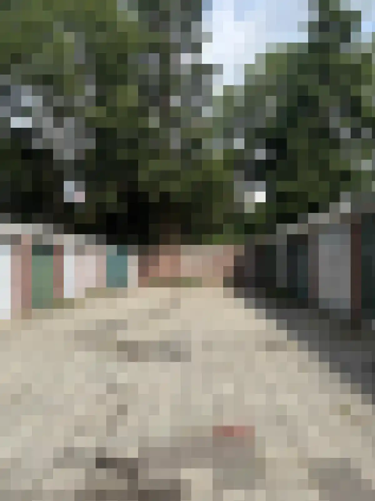Cliostraat 1 Eindhoven thumbnail 5