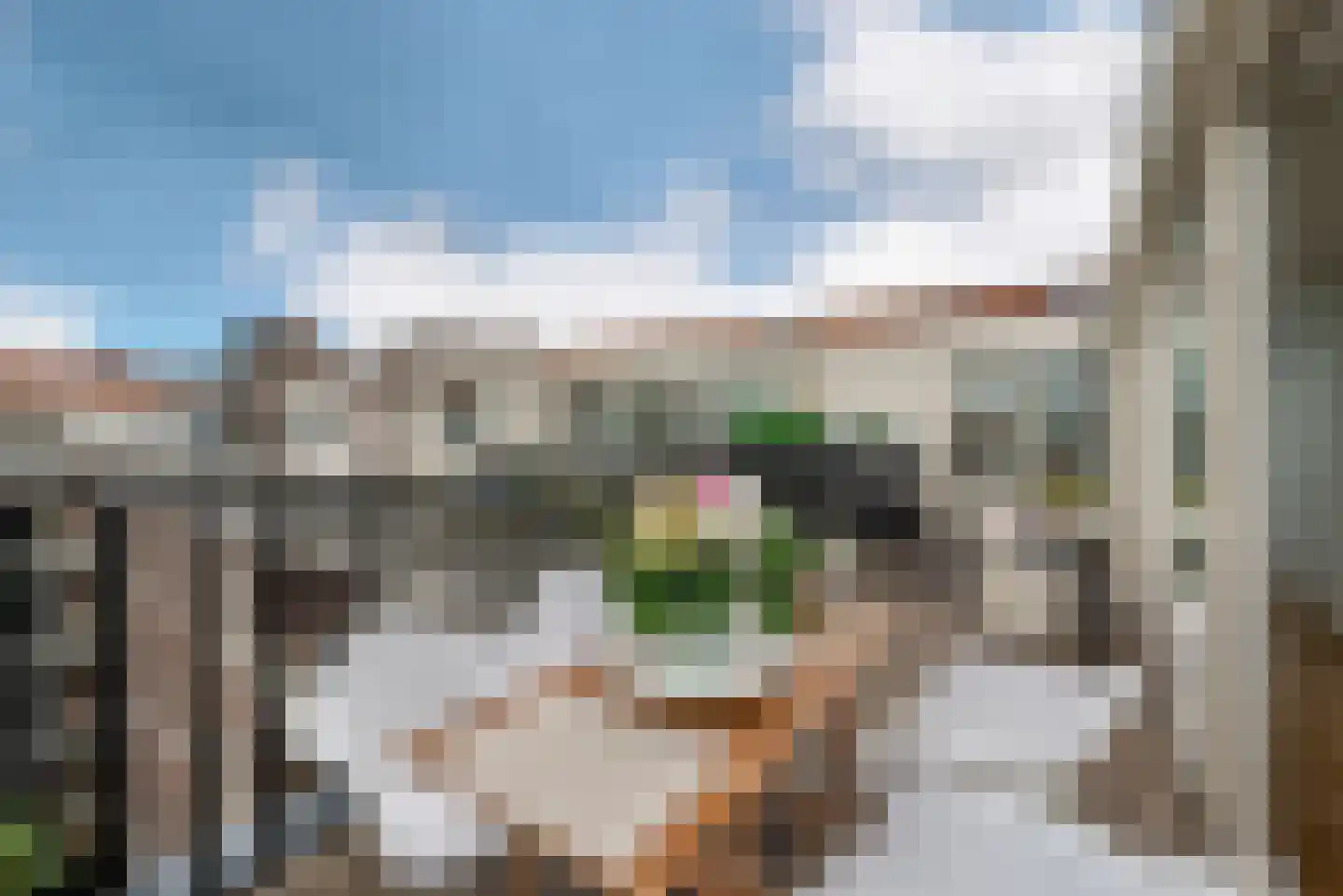 Cliostraat 12 3 Amsterdam thumbnail 15