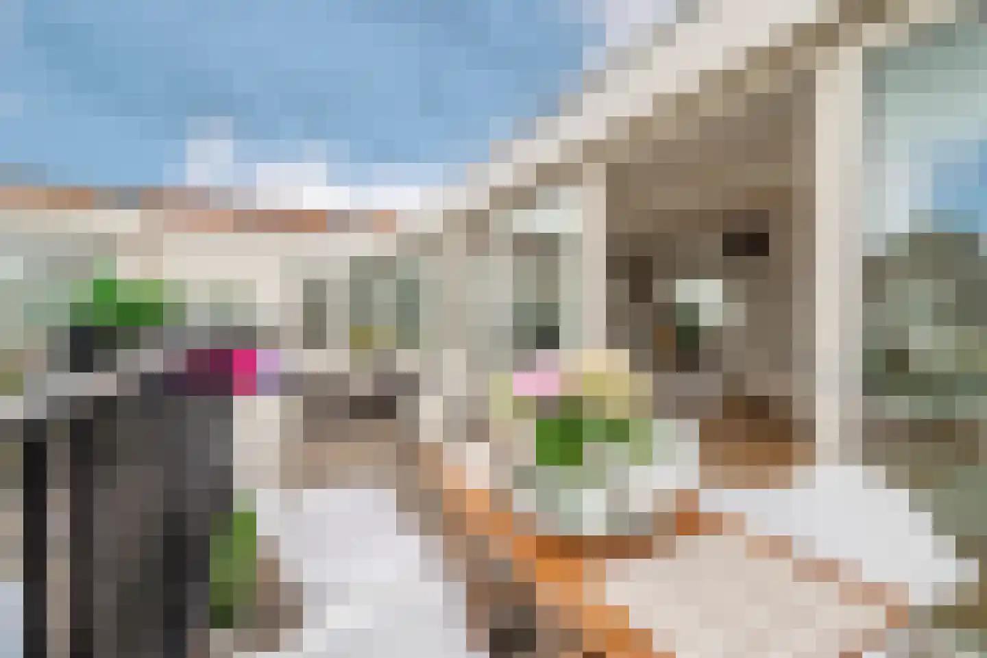 Cliostraat 12 3 Amsterdam thumbnail 19