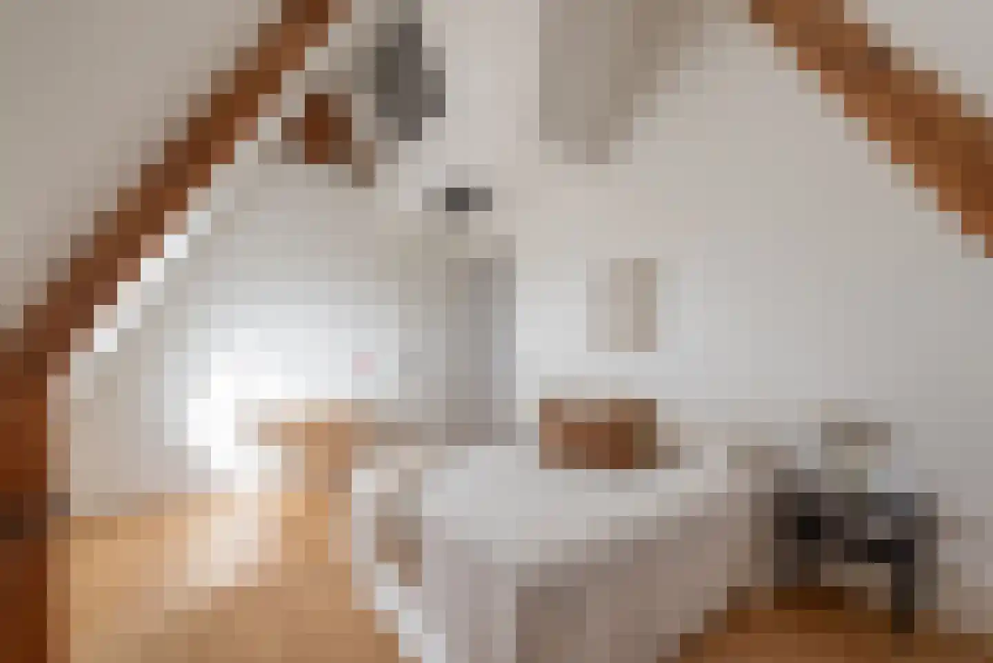 Cliostraat 12 3 Amsterdam thumbnail 21