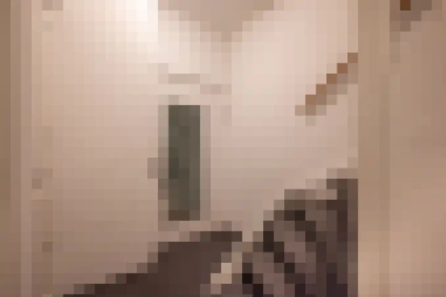 Cliostraat 12 3 Amsterdam thumbnail 33