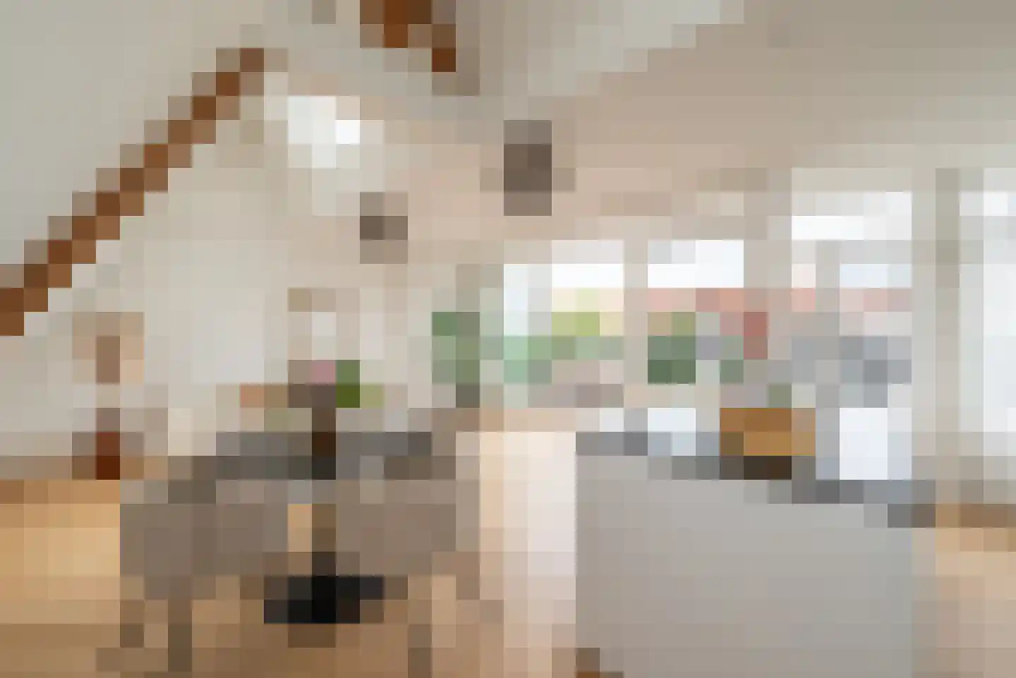 Cliostraat 12 3 Amsterdam thumbnail 5