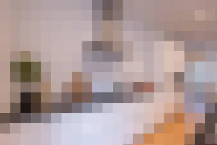 Cliostraat 12 4 Amsterdam thumbnail 20