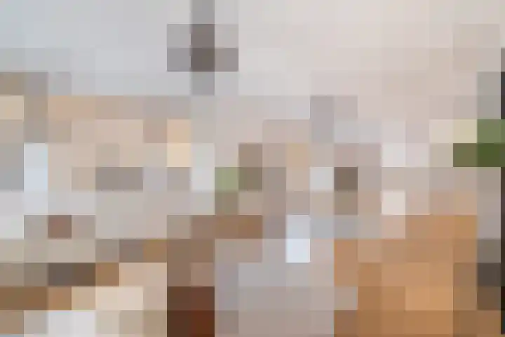 Cliostraat 12 4 Amsterdam thumbnail 5