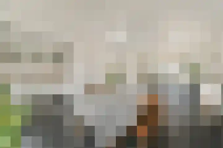 Cliostraat 27 2 Amsterdam thumbnail 12