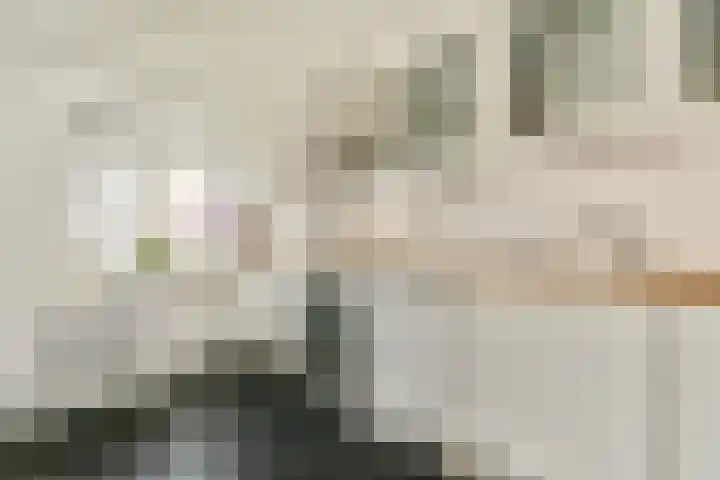Cliostraat 27 2 Amsterdam thumbnail 14