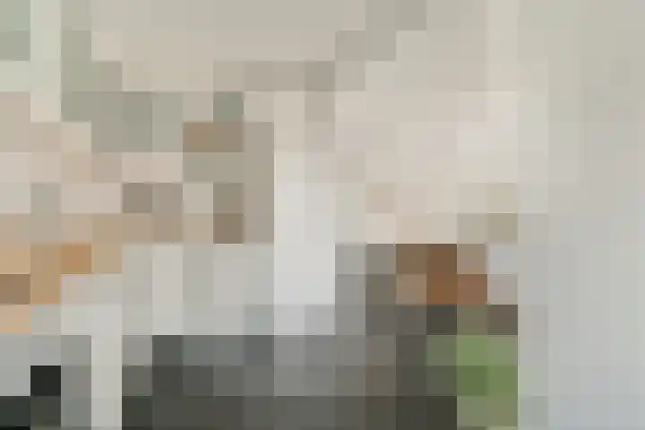 Cliostraat 27 2 Amsterdam thumbnail 15