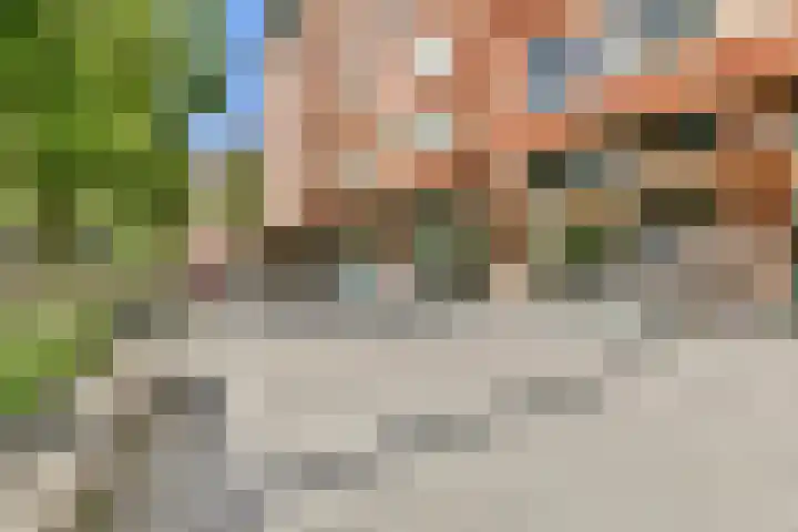 Cliostraat 27 2 Amsterdam thumbnail 26