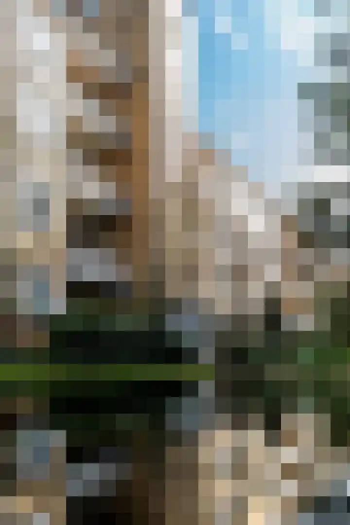 Cliostraat 27 2 Amsterdam thumbnail 29