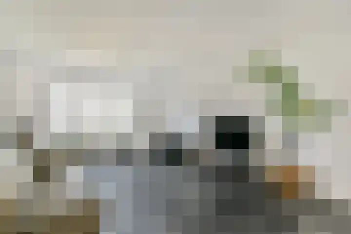 Cliostraat 27 2 Amsterdam thumbnail 5