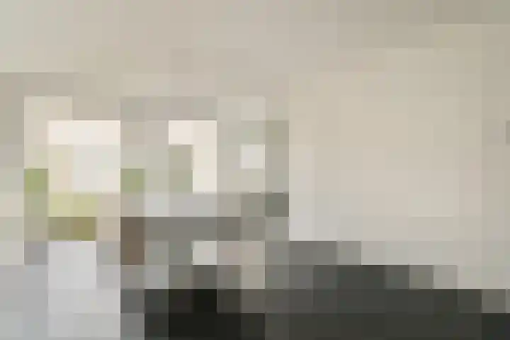 Cliostraat 27 2 Amsterdam thumbnail 8