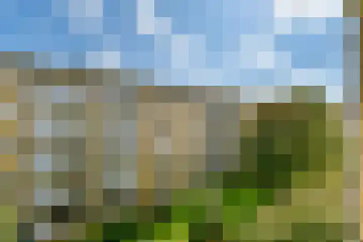 Cliostraat 27 2 Amsterdam thumbnail 9