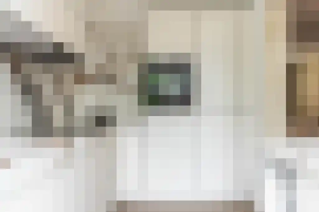 Cliostraat 30 Amsterdam thumbnail 14