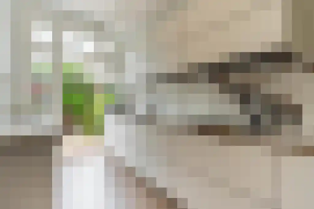 Cliostraat 30 Amsterdam thumbnail 15