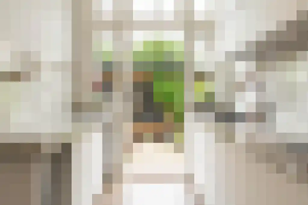 Cliostraat 30 Amsterdam thumbnail 16