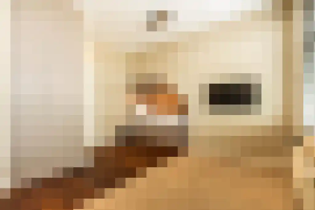 Cliostraat 30 Amsterdam thumbnail 28