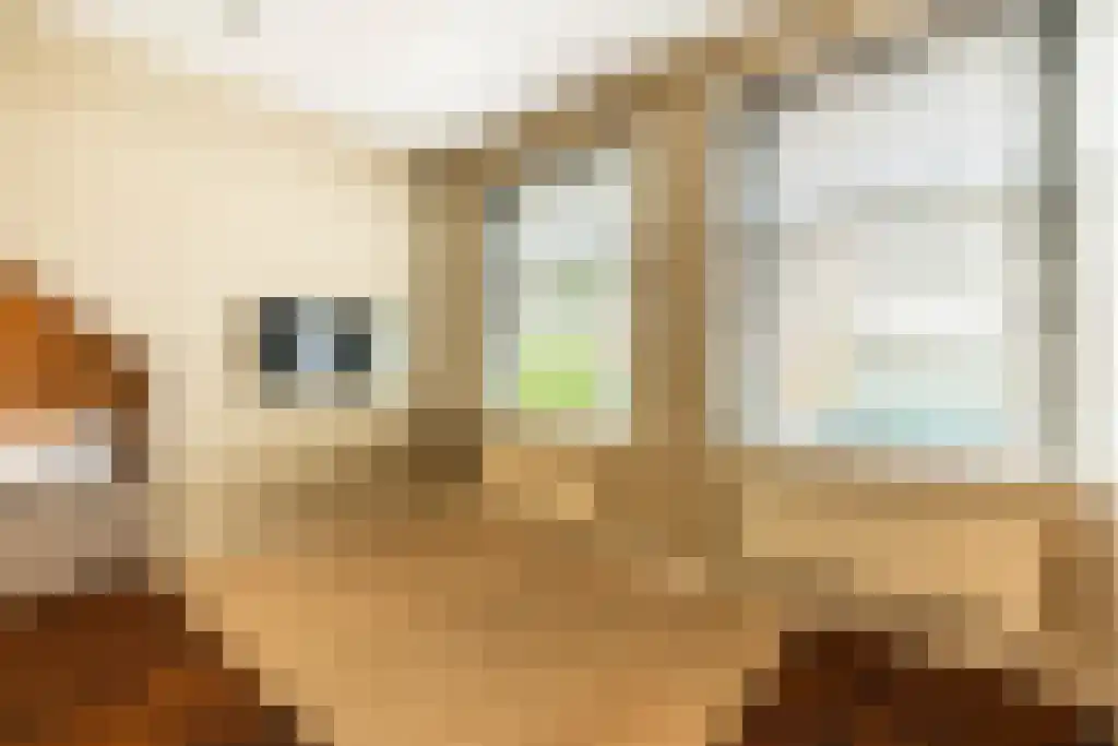 Cliostraat 30 Amsterdam thumbnail 30