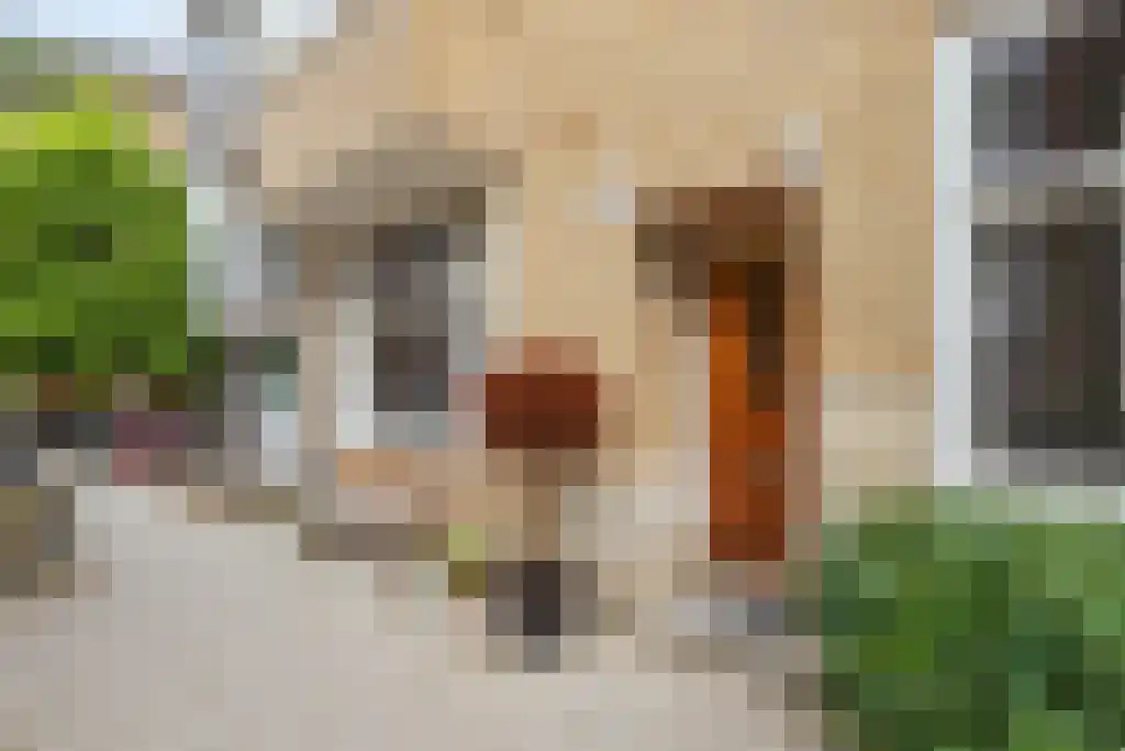 Cliostraat 30 Amsterdam thumbnail 4